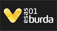 esas logo_k